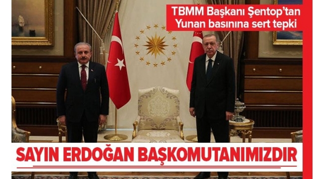 TBMM Başkanı Mustafa Şentop'tan Yunan basınına tepki Başkan Erdoğan'a destek.