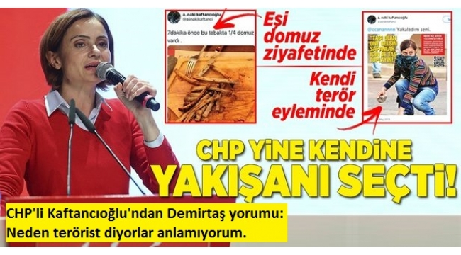 CHP'li Canan Kaftancıoğlu: Selahattin Demirtaş'a neden terörist denildiğini anlamıyorum.