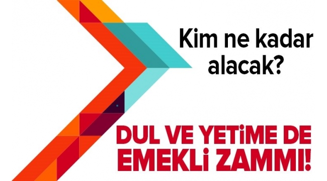 Bütün maaşlar artıyor! Dul ve yetime de emekli zammı: %8.36 Ocak artışı yansıtılacak | Kim, ne kadar alacak?