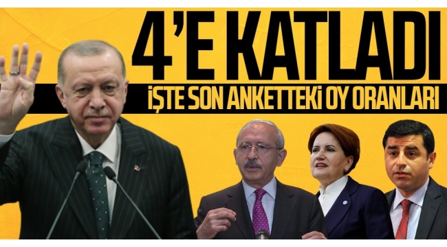 Son anket sonuçlarına göre oy oranı! Başkan Recep Tayyip Erdoğan 4'e katladı..