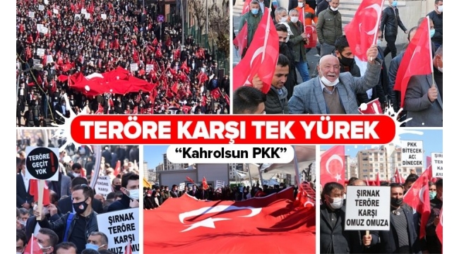 Şırnak, PKK terörüne lanet etti! Binlerce kişi ellerinde bayraklarla sokağa döküldü: Şehitler ölmez, vatan bölünmez 