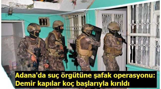 Demir kapılar koç başlarıyla kırıldı: Adana'da suç örgütüne şafak operasyonu 