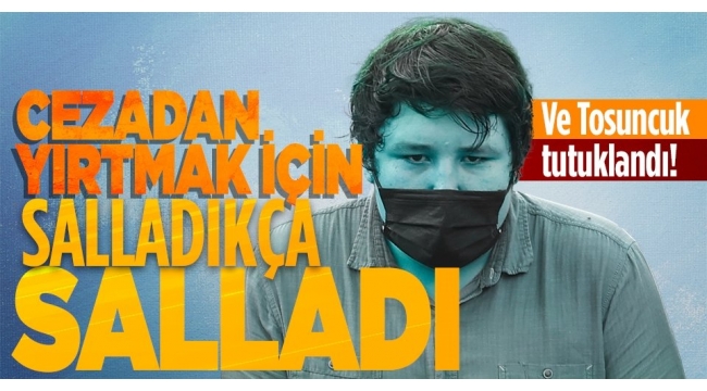 Son dakika | 'Tosuncuk' Mehmet Aydın tutuklandı! İlk ifadesi ortaya çıktı: Hatalarım oldu 