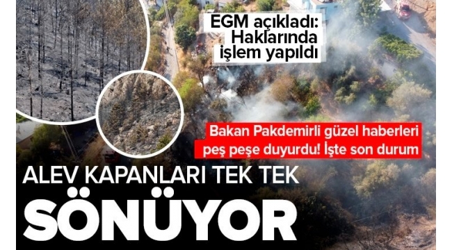 Son dakika | Tarım ve Orman Bakanı Bekir Pakdemirli açıkladı! Türkiye'deki alev kapanları tek tek sönmeye başladı 