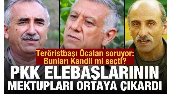 HDP'li Semra Güzel dosyasında çarpıcı gerçekler! Kirli sicili gözler önüne serildi