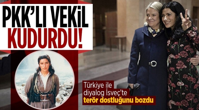 O dostluk bozuldu! İsveç'in açıklamalarının ardından PKK'lı vekil nefret kustu, sosyal medya paylaşımı dikkat çekti 