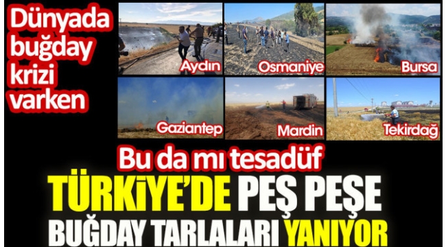 Küresel gıda krizi alarm verirken, Türkiye’de buğday tarlaları yanıyor 