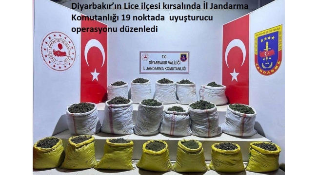 Diyarbakır'ın Lice ilçesi kırsalında İl Jandarma Komutanlığı 19 noktada  uyuşturucu operasyonu düzenledi 